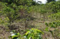 /album/fotogaleria/img-5820-ko%cc%81pia-jpg/